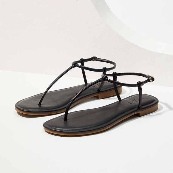 LOFT Shoes - Ann Taylor Loft Modern Thong Sandal Size 8 NWT